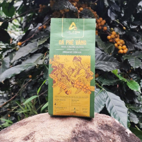 Xuất xứ nguồn gốc
