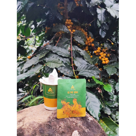 Hộp cà phê Vàng đặc sản phin giấy 4.0 cao cấp nhật bản loại 7 gói
