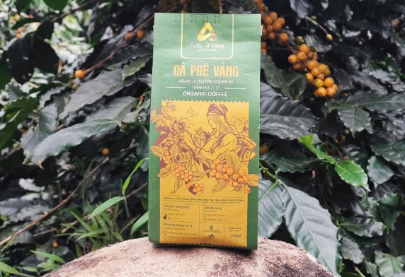 Xuất xứ nguồn gốc
